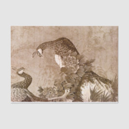 ヴィンテージエレガントピーコック 薄葉紙