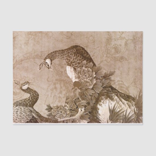 ヴィンテージエレガントピーコック 薄葉紙 (正面)