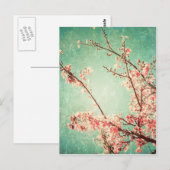 ヴィンテージエレガント擦り切れたティール（緑がかった色）ウッド&さくらんぼブロッサム ポストカード (正面/裏面)