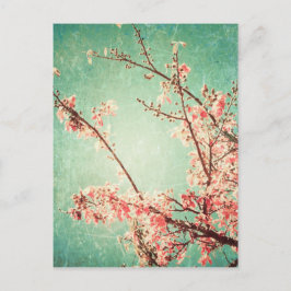 ヴィンテージエレガント擦り切れたティール（緑がかった色）ウッド&さくらんぼブロッサム ポストカード