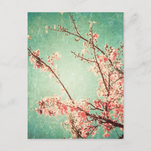 ヴィンテージエレガント擦り切れたティール（緑がかった色）ウッド&さくらんぼブロッサム ポストカード (正面)