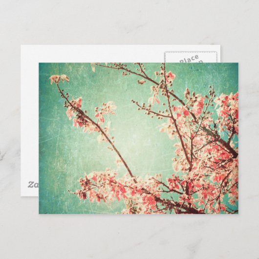ヴィンテージエレガント擦り切れたティール(緑がかった色)ウッド&さくらんぼブロッサム ポストカード (正面/裏面)