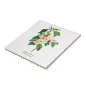 ヴィンテージエレガント植物性りんご花 タイル (側面)