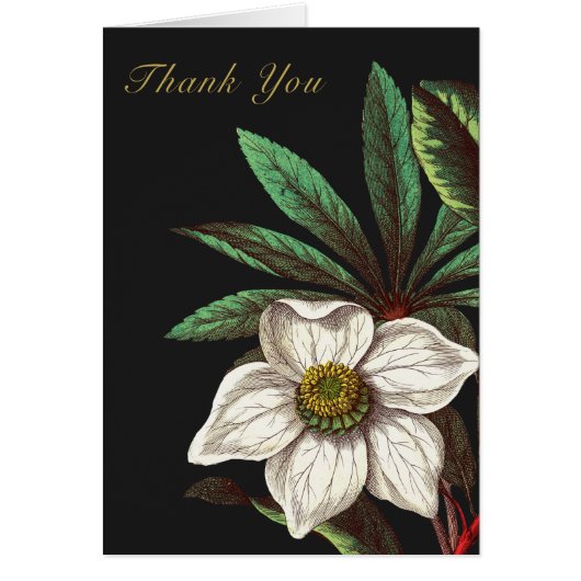 ヴィンテージエレガント植物性クリスマスバラ花 (正面)