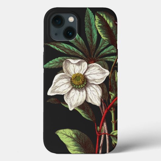 ヴィンテージエレガント植物性クリスマスバラ花 Case-Mate iPhoneケース (裏面)