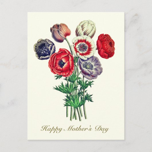 ヴィンテージエレガント植物性ポピー・アネモン ポストカード (正面)
