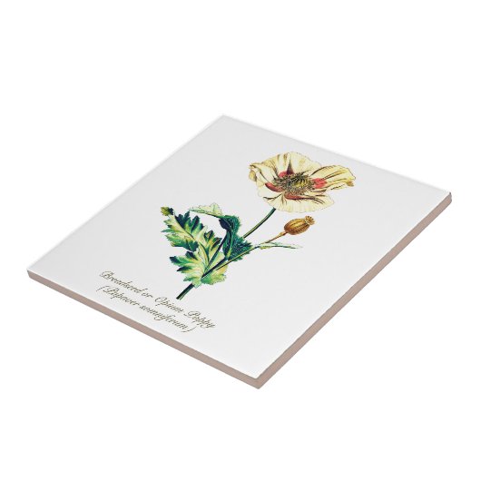 ヴィンテージエレガント植物性白アヘンのケシの花 タイル (側面)