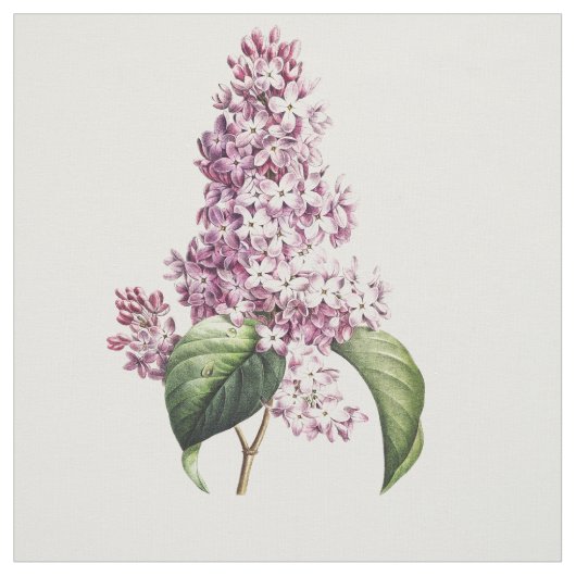 ヴィンテージエレガント植物紫薄紫花 ファブリック (見本)