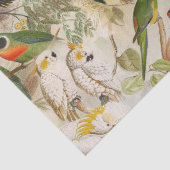 ヴィンテージエレガント熱帯鳥のオウムの切り離し 薄葉紙 (詳細)