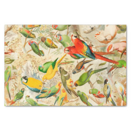 ヴィンテージエレガント熱帯鳥のオウムの切り離し 薄葉紙