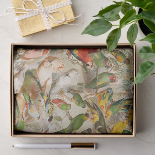 ヴィンテージエレガント熱帯鳥のオウムの切り離し 薄葉紙 (ギフト)