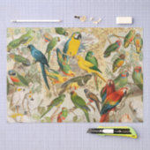 ヴィンテージエレガント熱帯鳥のオウムの切り離し 薄葉紙 (クラフト)