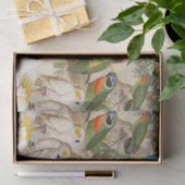 ヴィンテージエレガント熱帯鳥のオウム雨林 薄葉紙 (ギフト)