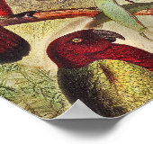 ヴィンテージエレガント熱帯鳥のオウム ポスター (角)