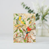 ヴィンテージエレガント熱帯鳥のオウム ポストカード (スタンド正面)