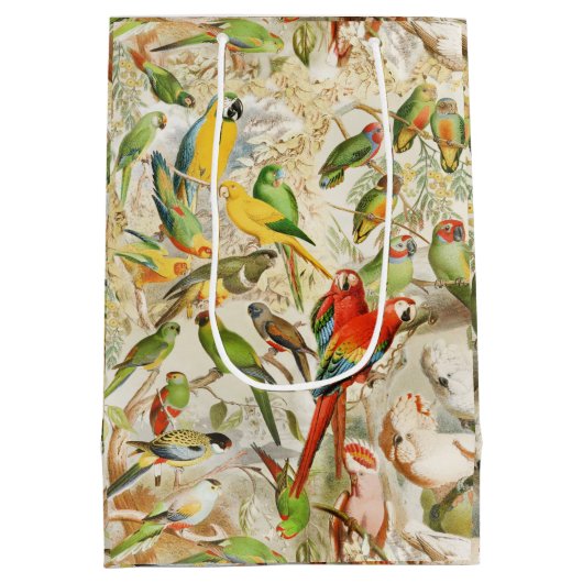 ヴィンテージエレガント熱帯鳥のオウム ミディアムペーパーバッグ (裏面)