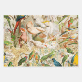 ヴィンテージエレガント熱帯鳥のオウム ラッピングペーパーシート (正面3)