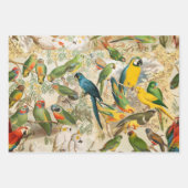 ヴィンテージエレガント熱帯鳥のオウム ラッピングペーパーシート (正面2)