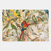 ヴィンテージエレガント熱帯鳥のオウム ラッピングペーパーシート (正面)