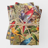 ヴィンテージエレガント熱帯鳥のオウム ラッピングペーパーシート (インサイチュ)