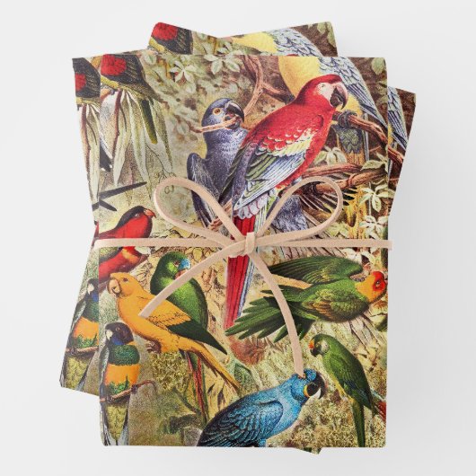ヴィンテージエレガント熱帯鳥のオウム ラッピングペーパーシート (インサイチュ)