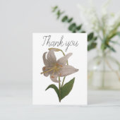 ヴィンテージエレガント白ゆり花ありがとう ポストカード (スタンド正面)