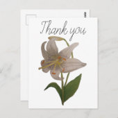 ヴィンテージエレガント白ゆり花ありがとう ポストカード (正面/裏面)