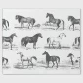 ヴィンテージエレガント白黒トイレホースブリーズ ラッピングペーパー (フラット)