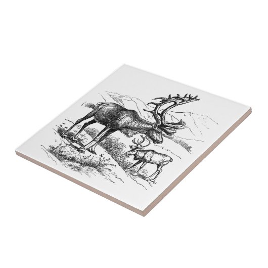 ヴィンテージエレガント白黒マウンテントナカイ タイル (側面)