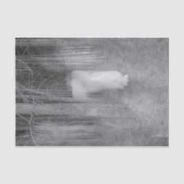 ヴィンテージエンジェルブラックアンドホワイト歩くインフォレスト 薄葉紙