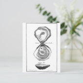 ヴィンテージオイスターアニマルプリント ポストカード (スタンド正面)