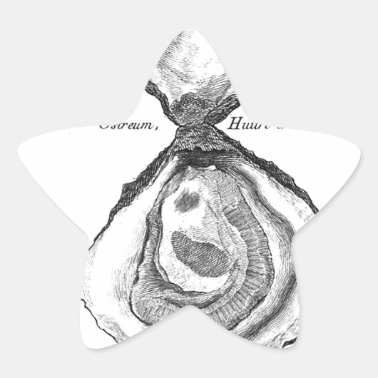 ヴィンテージオイスターアニマルプリント 星シール (正面)