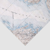 ヴィンテージオイスターベイロングアイランドニューヨークの地図 薄葉紙 (詳細)