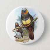 ヴィンテージオウム鳥PE_GC – 丸ボタン 缶バッジ (正面)