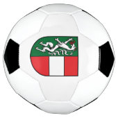 ヴィンテージオステレイヒスティエルマルクフュルステンフェルトワッペン サッカーボール (回転)