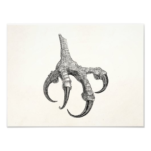 ヴィンテージオスプレーパーソナライズされたレトロ鳥ツメ フォトプリント (正面)