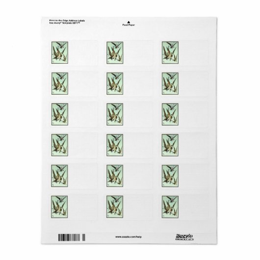 ヴィンテージオズの魔法使い飛んでいるドロシーとサル ラベル (フルシート)