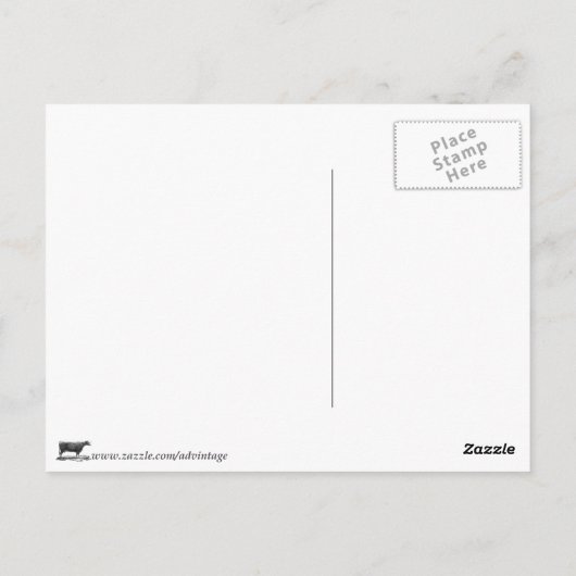 ヴィンテージオニオングラフイラストレーションカード ポストカード (裏面)