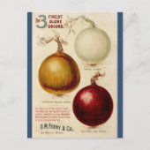 ヴィンテージオニオングラフイラストレーションカード ポストカード (正面)