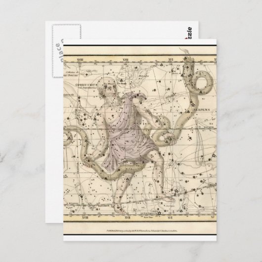 ヴィンテージオフィコス星座〔占星術の〕十二宮図 ポストカード (正面/裏面)