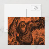 ヴィンテージオラングタンイラストレーション – モンキー ポストカード (正面/裏面)