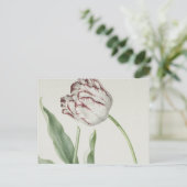 ヴィンテージオランダアート:白と赤のチューリップポストカード ポストカード (スタンド正面)