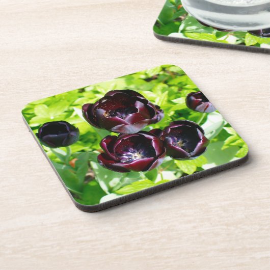 ヴィンテージオランダ紫グリーンブラックチューリップ写真 コースター (左側)