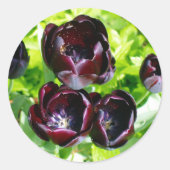 ヴィンテージオランダ紫グリーンブラックチューリップ写真 ラウンドシール (正面)