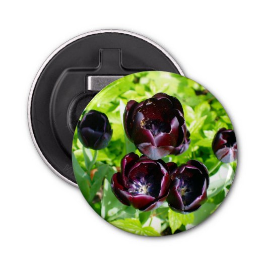 ヴィンテージオランダ紫グリーンブラックチューリップ写真 栓抜き (正面)