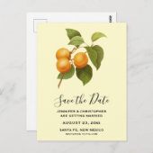 ヴィンテージオレンジのアプリコット水の色日付を保存 ポストカード (正面/裏面)