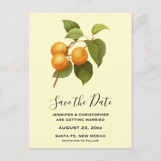 ヴィンテージオレンジのアプリコット水の色日付を保存 ポストカード (正面)