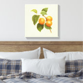 ヴィンテージオレンジアプリコッツウォーターカラースケッチ キャンバスプリント (インサイチュ (寝室))