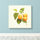 ヴィンテージオレンジアプリコッツウォーターカラースケッチ キャンバスプリント (インサイチュ (ウッドフロア))