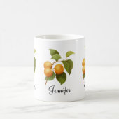 ヴィンテージオレンジアプリコッツウォーターカラースケッチ コーヒーマグカップ (中央)